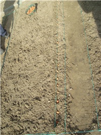 aa330dc9-SADNJA LUKA.JPG